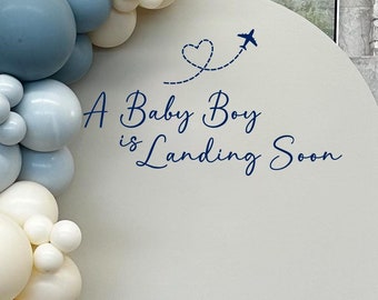 Calcomanía personalizada con nombre para baby shower, revelación de género, baby shower de niña y de niño.