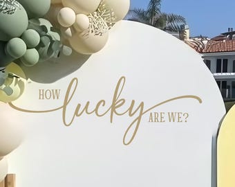 ¡Qué suerte tenemos! Letrero adhesivo para fiesta de baby shower, decoración de vinilo para baby shower, revelación de género, baby shower para niña, baby shower para niño