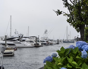 Newport, Rhode Island Marina Photo