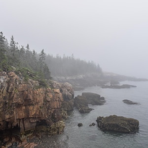 Foto della costa nebbiosa della penisola di Schoodic nel Parco nazionale di Acadia