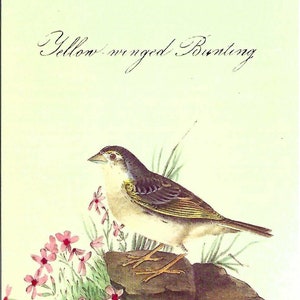 Carte postale vintage Bruant à ailes jaunes par Cavallini à envoyer par la poste ou pour l'encadrement, fabrication de livres, collage, scrapbooking, Paper Arts PSS 5093
