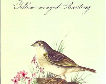 Vintage Yellow-winged Bunting Postcard by Cavallini to Mail or for Framing, Book Making, Collage, Scrapbooking, Paper Arts PSS 5093