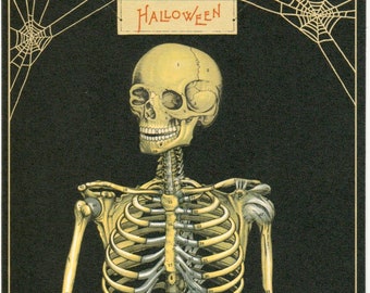 Vintage Halloween Skeleton Postcard by Cavallini to Mail or Frame or for Junk Journal, Book Making, Collage, Scrapbook, Paper Arts PSS 5038