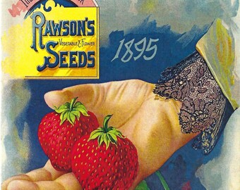 Vintage Rawson's 1895 Vegetable & Flower Seeds Catalogue Cover Reproduction - Oversized Postcard from American Heritage Engravings PSS 5314