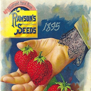 Vintage Rawson es 1895 Vegetable & Flower Seeds Katalog Cover Reproduktion - Oversized Postkarte von American Heritage Gravuren PSS 5314
