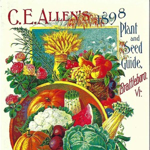 Vintage C.E. Allen es 1898 Seed and Plant Guide Katalog Cover Reproduktion - Oversized Postkarte von American Heritage Gravuren PSS 5281