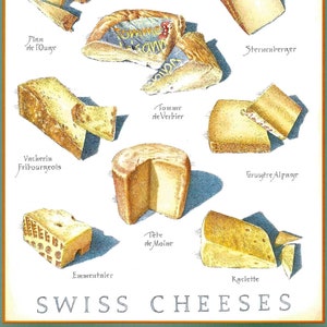 Swiss Cheeses Chart Poster by John Burgoyne for Cook&#39;s Illustrated Magazine January & February 2016 to Frame or for Paper Arts PSS 5262