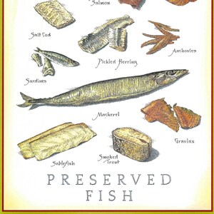 Preserved Fish Chart Poster by John Burgoyne for Cook&#39;s Illustrated Magazine September & October 2016 to Frame or for Paper Arts PSS 5265