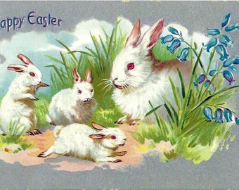 Raphael Tuck & Sons Collectable Vintage Embossed Easter Postcard Series No. 701 White Bunny Rabbits and Bluebell Flowers PSS 5796