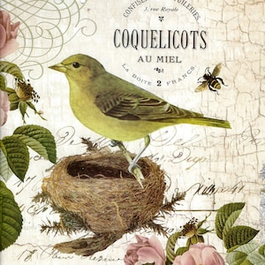 French Yellow Bird Collage Digital Instant Download for Scrapbooking, Paper Arts, Mixed Media, Collage, Decoupage PSS 4565