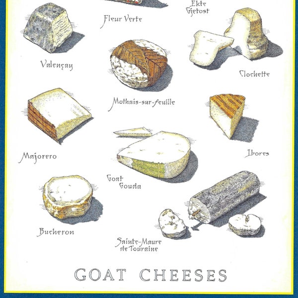 Goat Cheeses Chart Poster por John Burgoyne para Cook's Illustrated Magazine enero y febrero de 2011 a Frame o para Paper Arts PSS 5415