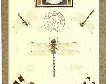 Insect Vintage Postcard Dragonflies with a Dragonfly Insecta and Flora & Fauna Art Postcard PSS 2113