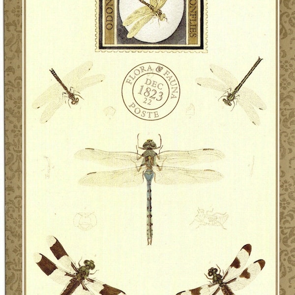 Insect Vintage Postcard Dragonflies with a Dragonfly Insecta and Flora & Fauna Art Postcard PSS 2113