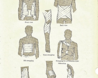 Human Anatomy Vintage Medical Anatomy Strapping Illustration to Frame or for Paper Arts PSS 0166