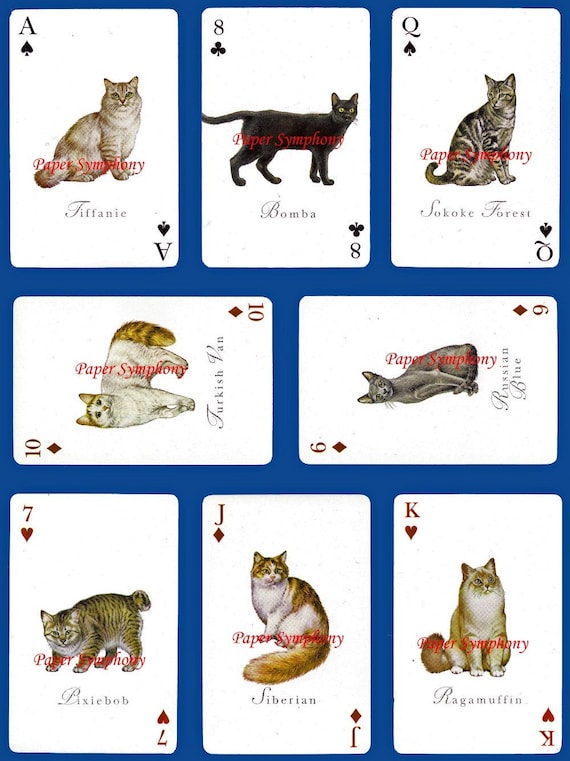 Printed Cats on Playing Cards Collage Sheet for ATCs ACEOs Etsy