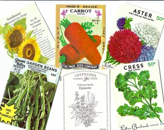 Vintage Seed Pack, 6 Empty Vegetable & Flower Paper Ephemera Pack for Collage, Junk Journals, Mixed Media, Paper Arts and More PSS 5564
