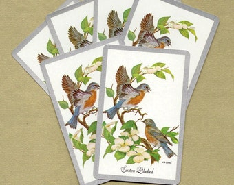 Eastern Bluebirds Playing Cards for ATCs, Collage, Scrapbooking, Paper Arts, Assemblage and MORE PSS 1232