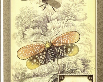 Insect Vintage Postcard Treehopper & Planthopper Insects with a Leaf Beetle Insecta Art Postcard PSS 2029