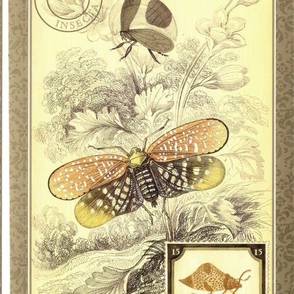 Insekt Vintage Postkarte Baumzikade & Pflanzenzikade Insects with a Leaf Beetle Insecta Art Postkarte PSS 2029