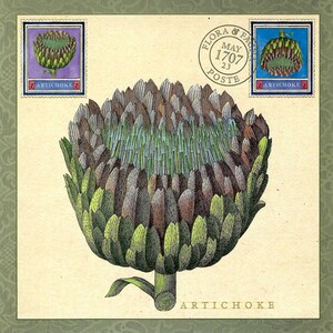 Artischocke Flora Botanical Oversized Postkarte PSS 5717