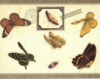 Vintage Insect Postcard Butterflies & Beetle Postcard with an Anonymous Insect Insecta and Papillon Art Postcard PSS 2047