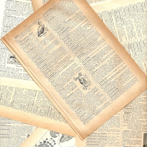 May include: A close-up of a page from an old dictionary with the words "ELATERIUM" and "ELATEROMETRE" highlighted. The page is yellowed with age and has a moose illustration.