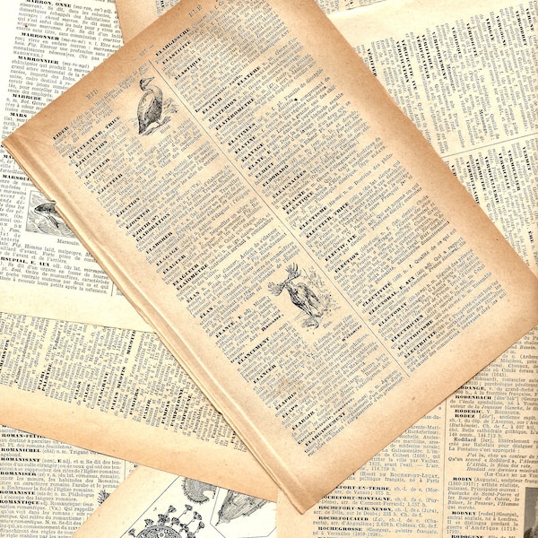 Dictionary Page - Etsy