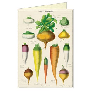 Vintage Plante Fourragere Vegetables Greeting Card by Cavallini to Frame or Use in Craft Projects PSS 3979