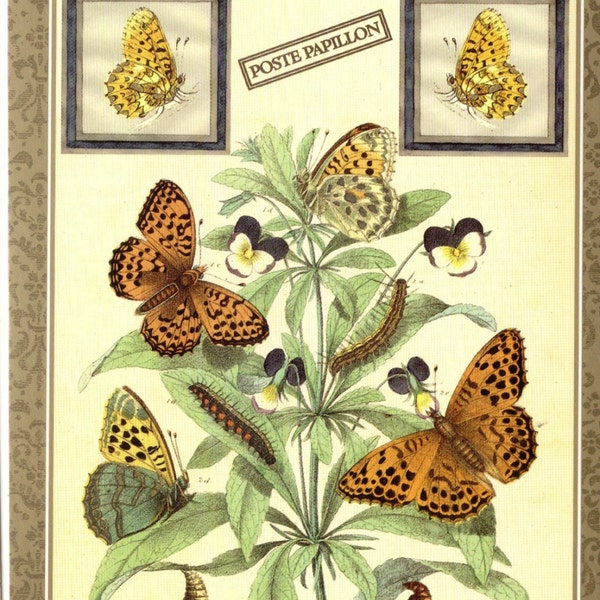 Insekten Vintage Postkarte Schmetterlinge, Raupe & Chrysalis und Marmor Fritillary Insecta, Papillon Kunst Postkarte PSS2048