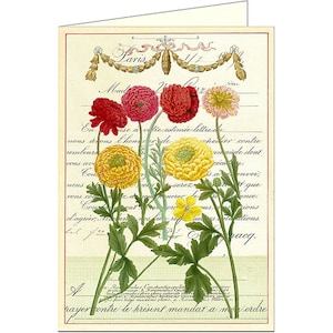 Français Botanica Flora & Fauna carte de voeux par Cavallini à la poste ou pour l’encadrement, collage, scrapbooking et arts du papier PSS 2833