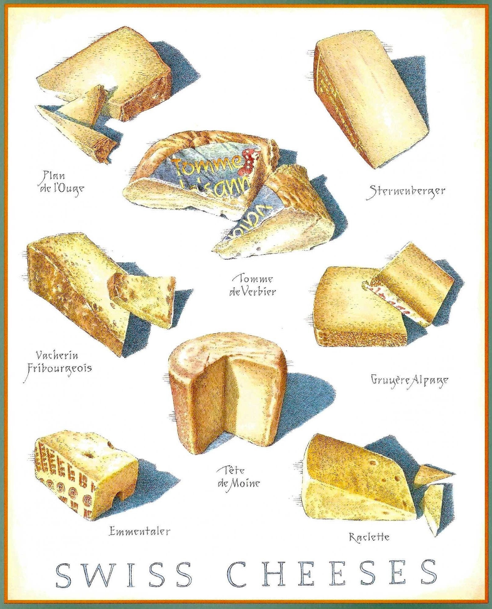 Swiss Cheeses Chart Poster by John Burgoyne for Cook's Illustrated Magazine January & February 2016 to Frame or for Paper Arts PSS 5262