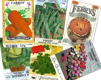 Vintage Seed Pack, 6 Empty Vegetable & Flower Paper Ephemera Pack for Collage, Junk Journals, Mixed Media, Paper Arts and More PSS 5511