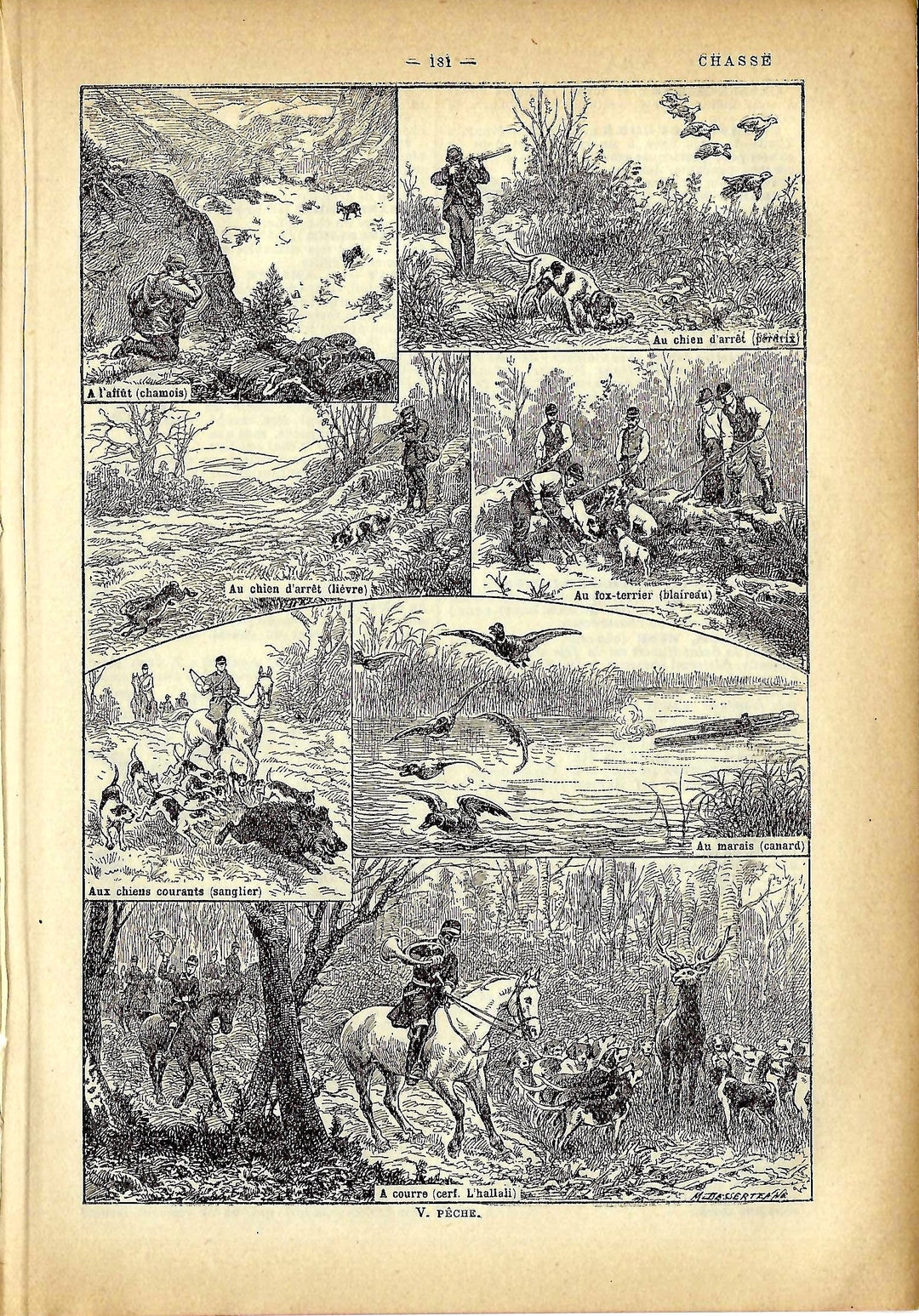 Hunting a Rare Antique Book Page French Hunting Illustrations From 1926