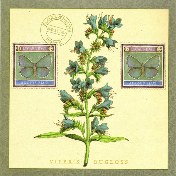 Viper es Bugloss Flora Botanical & Adonis Blue Butterfly Fauna-Oversized Postcard PSS 1842