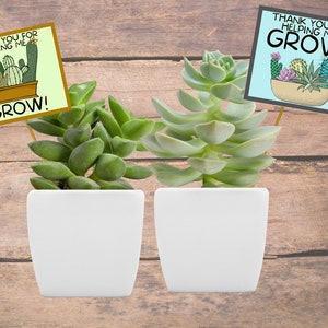 Carte de remerciement succulente, carte de remerciement succulente pour les enseignants, merci cactus, merci de m'avoir aidé à grandir, cadeau de professeur succulent