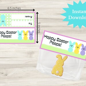 Easter Bag Topper, Easter Gift Ideas, Easter Bunny printable, printable easter favor tag, treat bag topper, Easter Gift ideas, Easter basket