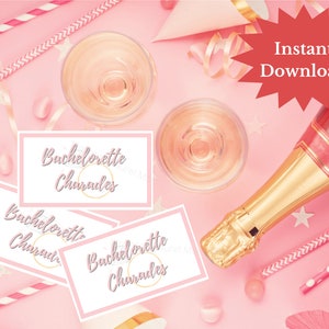 Bachelorette Bridal Charades, Bridal shower game, bachelorette party game, hen party, instant download, printable, bachelorette charades