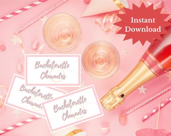 Bachelorette Bridal Charades, Bridal shower game, bachelorette party game, hen party, instant download, printable, bachelorette charades