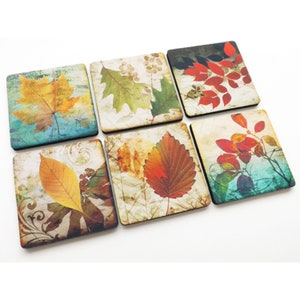 May include: Set of six square coasters featuring autumn leaves in various shades of red, orange, yellow, and green. The coasters have a vintage, distressed look and are perfect for adding a touch of fall decor to your home.