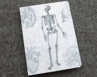May include: A white notebook with a gray anatomical illustration of a skeleton, heart, and lungs. The notebook has a textured surface.