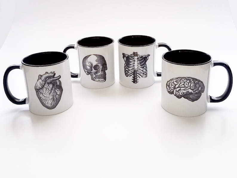 Human Anatomy Mugs Cup Gift Set Black White Anatomical Heart Etsy