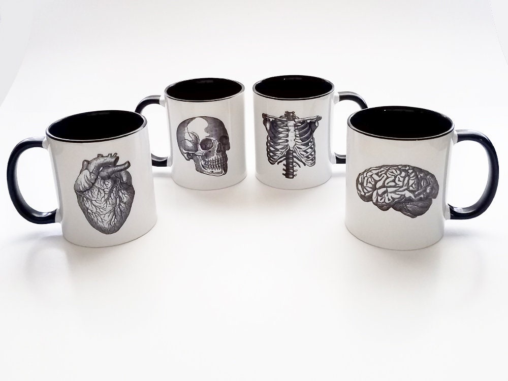 Human Anatomy Mugs Cup Gift Set Black White Anatomical Heart Etsy