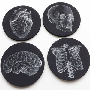 Anatomie Coaster futur médecin infirmier étudiant en médecine assistant médecin cadeau bas de Noël noir blanc goth décoration école gothique image 5