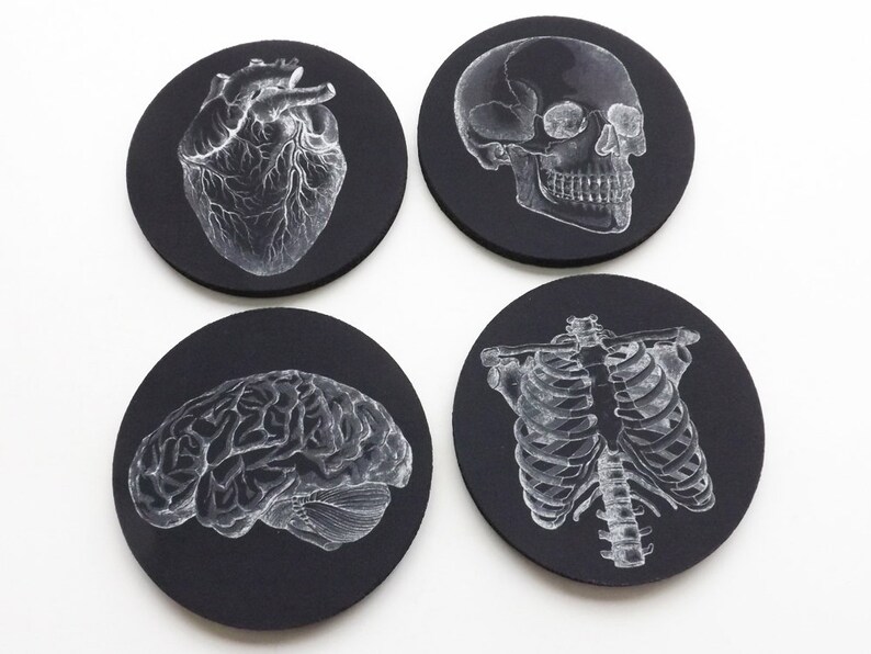 Anatomie Coaster futur médecin infirmier étudiant en médecine assistant médecin cadeau bas de Noël noir blanc goth décoration école gothique image 5