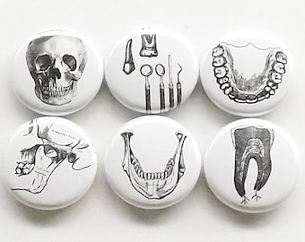 Dentist Gift refrigerator magnets graduation teeth jaw dental hygienist party favor stocking stuffer fridge temporal bone skull oral surgeon