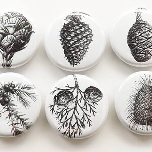 Heaven Sends Shabby /& Chic Posavasos con mensaje /& Imanes Para Refrigerador