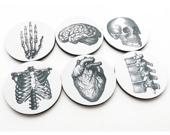 Anatomy Pathology Coaster Set medical student goth gift home decor hostess skull nurse school doctor anatomical heart cardiology nerd neuro