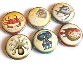 May include: Six round, colorful buttons with vintage illustrations of sea creatures. The buttons feature a crab, a stingray, a jellyfish, an octopus, a pufferfish, and a fish with a long dorsal fin.