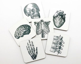 Anatomical Heart Anatomy Hardboard Coasters graduation doctor physical therapist student hostess gift him her skull medical gothic decor pa