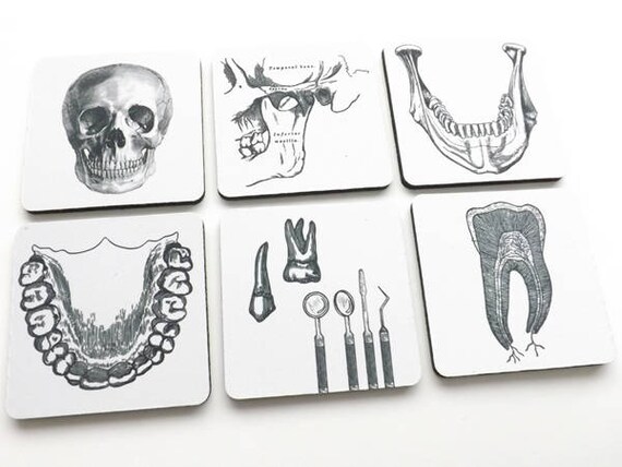 Dentist Dental Hygienist Drink Coasters Gift Set Teeth Jaw Etsy